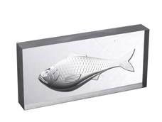 樣(yàng)品展示(shi)